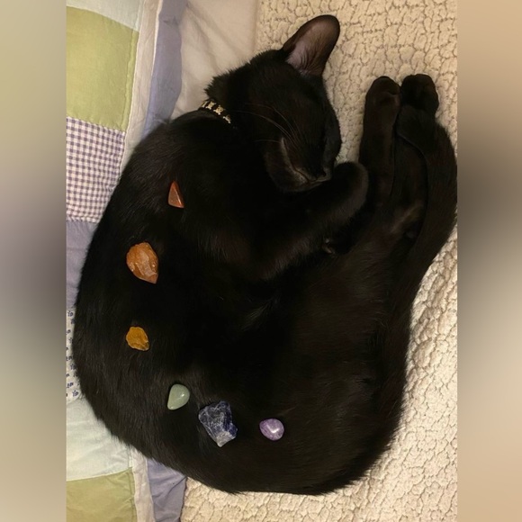 Live listing - Picture 3 of 15